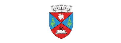 Logo Consiliul Local Petorsani